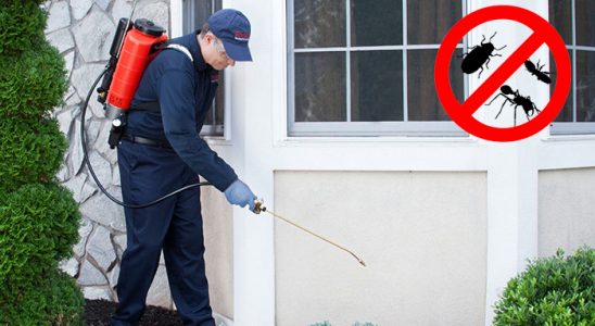 Yeşilyurt Kene İlaçlama böcek ilaçlama ve haşere kontrolü — ilaclama-tr.com